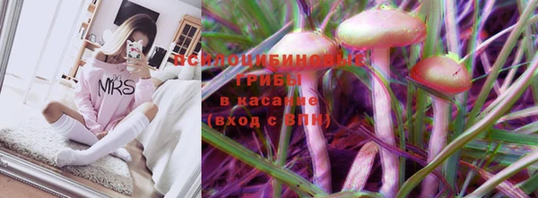 мдма Козельск