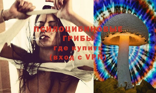 мдма Козельск