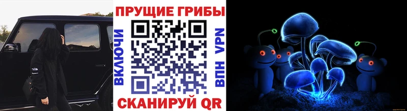 Купить где  Новосокольники  Псилоцибиновые грибы прущие грибы 